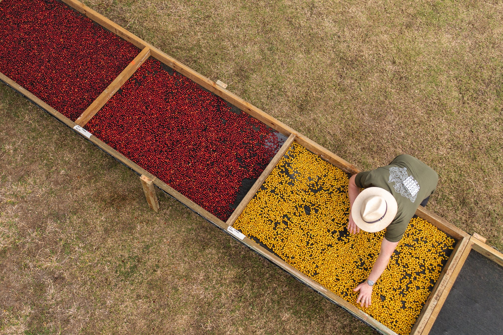 May - Zest Coffee Roasters