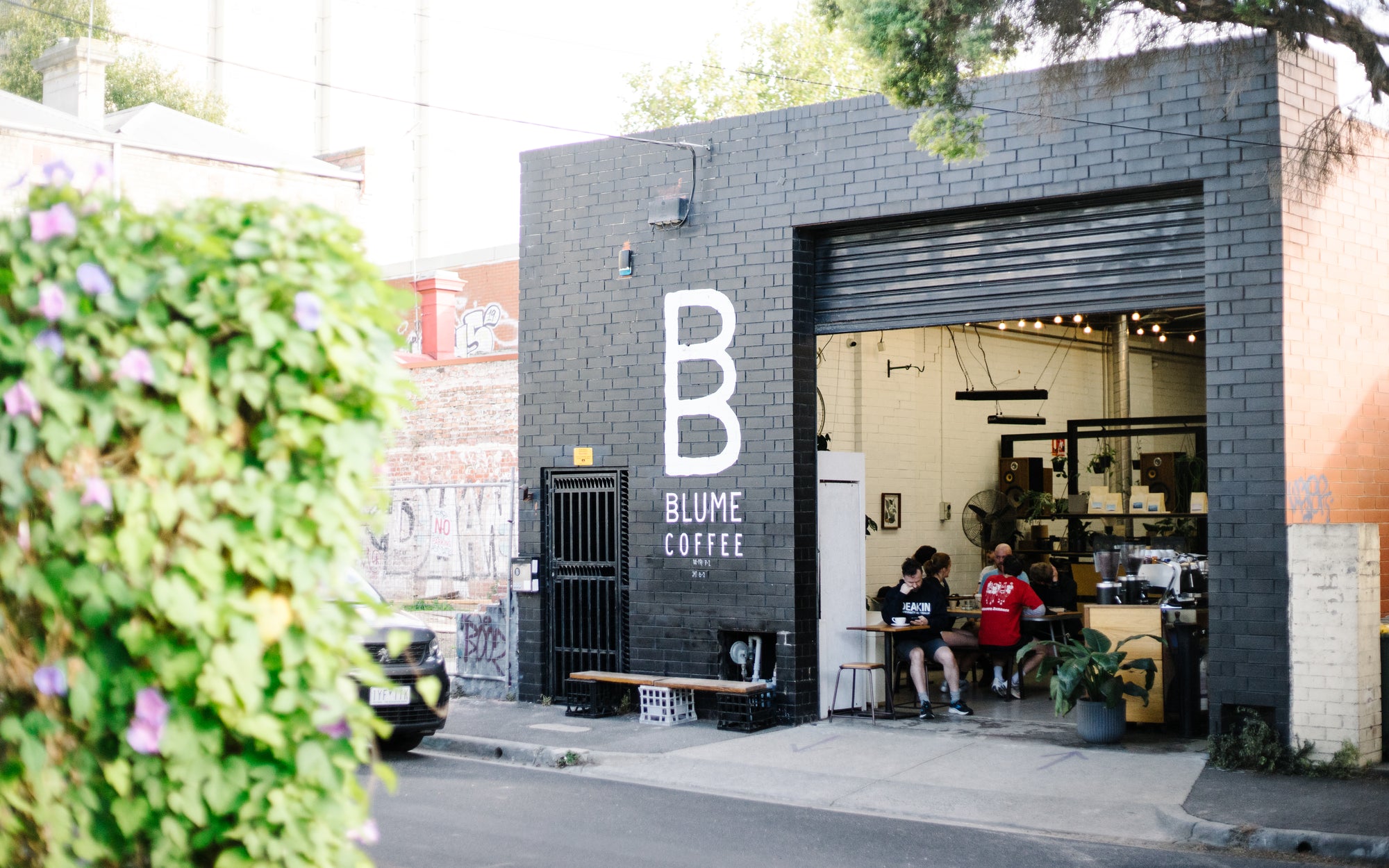 This Month's Feature - Blume