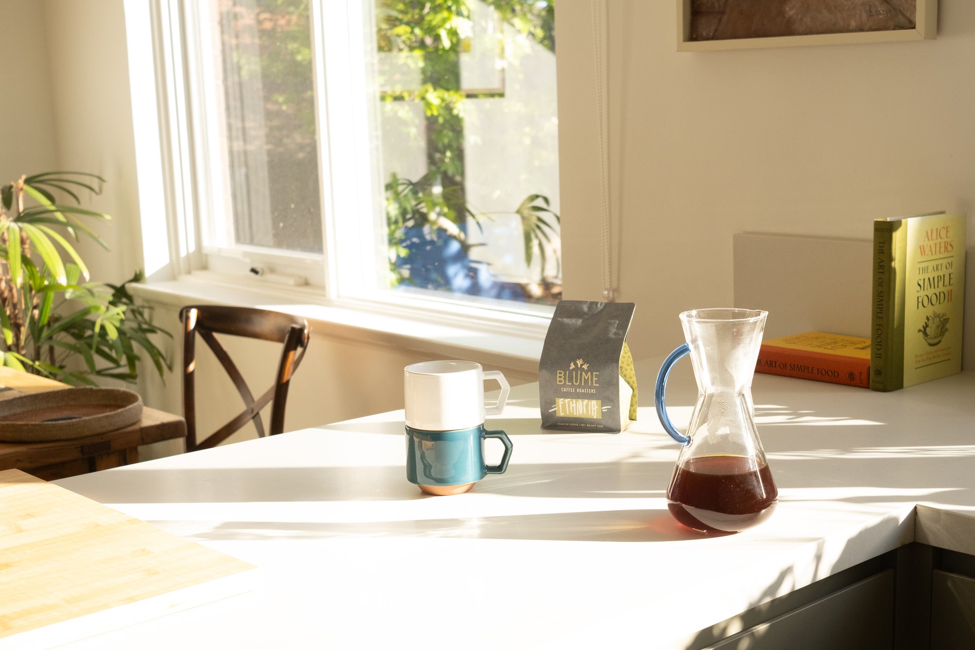 This Month's Feature - Blume