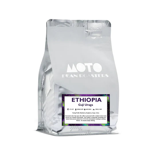This Month's Feature - Moto bean