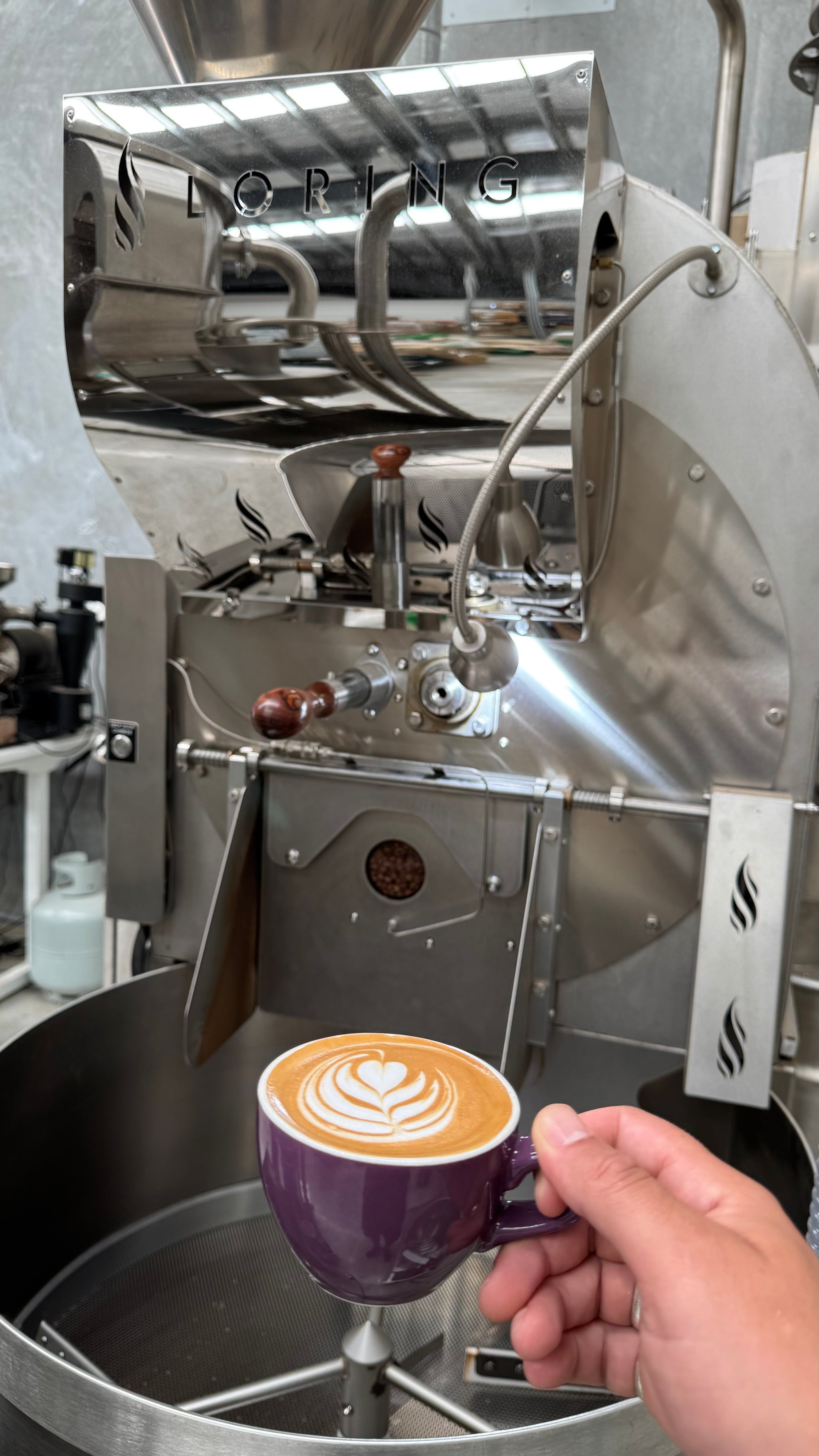 This Month's Feature - Moto bean