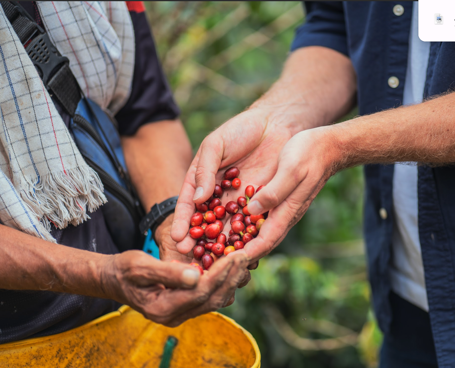 This Month's Feature - Willy's Beans